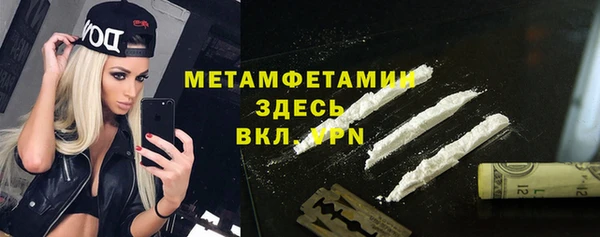 спиды Богданович
