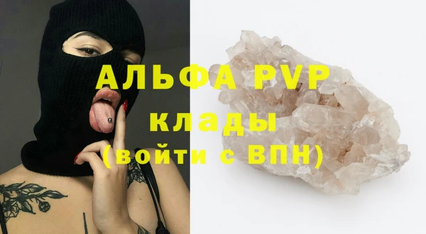 спиды Богданович