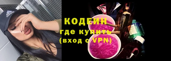 шишки Богородск