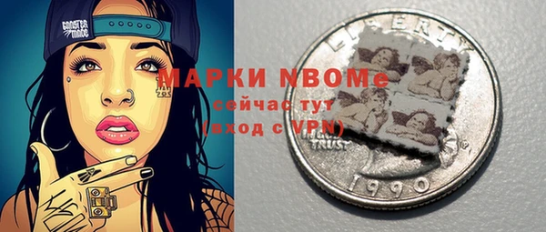 шишки Богородск