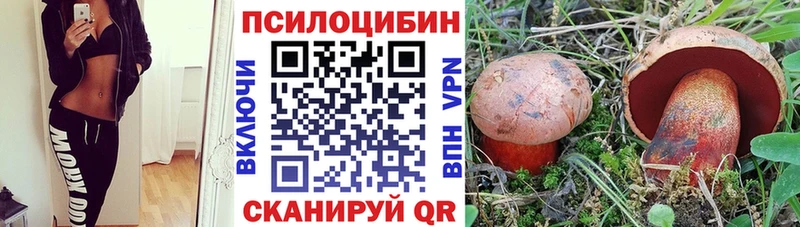 Галлюциногенные грибы мухоморы  Реж 
