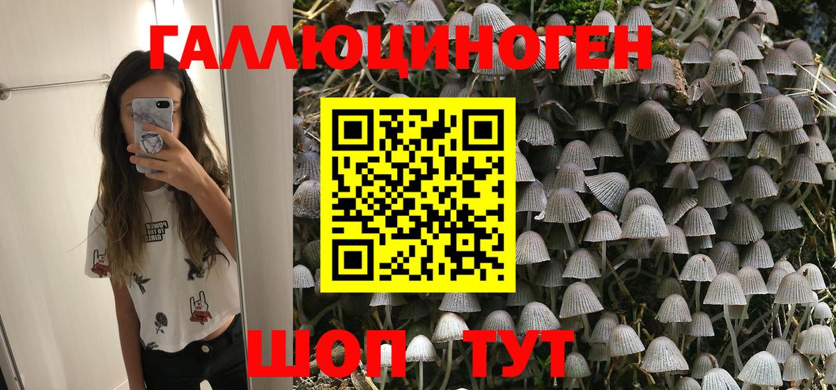 Псилоцибиновые грибы Psilocybe Реж